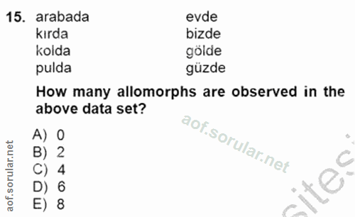 Soru 15