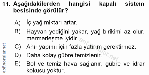 Soru 11
