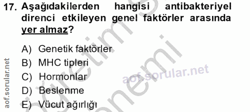 Soru 17