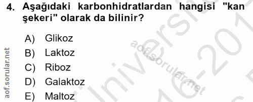Soru 4