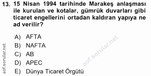 Soru 13