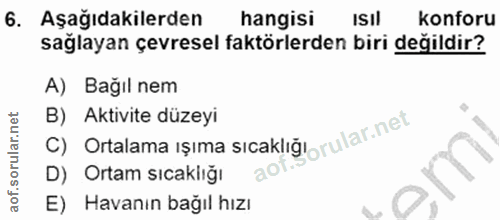 Soru 6