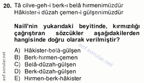 Soru 20
