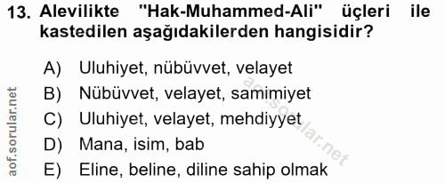 Soru 13