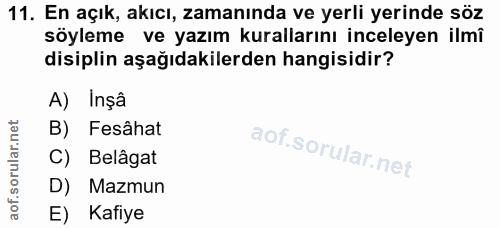Soru 11
