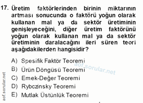 Soru 17