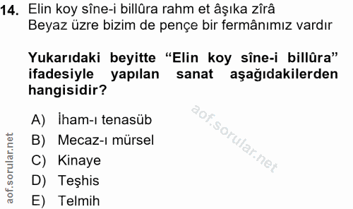 Soru 14