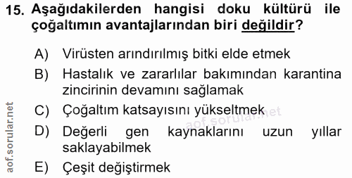 Soru 15