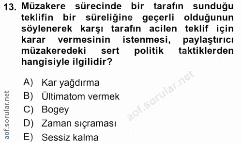 Soru 13