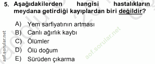 Soru 5