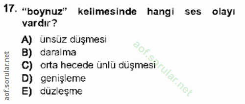 Soru 17