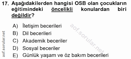 Soru 17