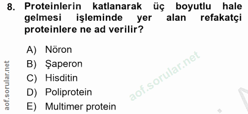 Soru 8