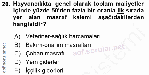 Soru 20
