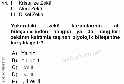 Soru 14