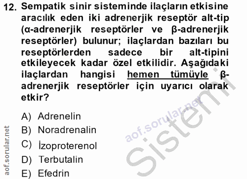 Soru 12