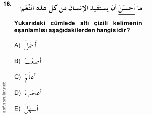 Soru 16