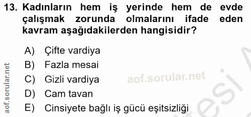 Soru 13