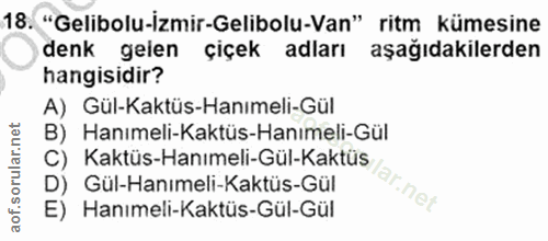 Soru 18