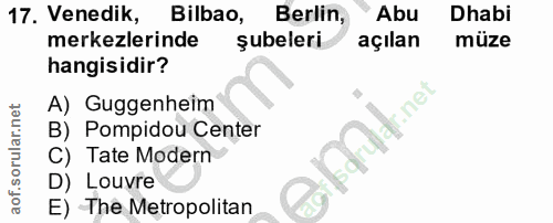 Soru 17