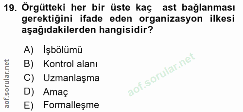 Soru 19