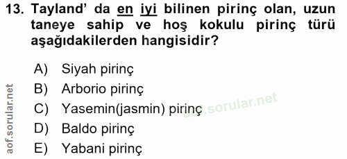 Soru 13