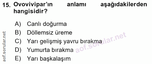 Soru 15