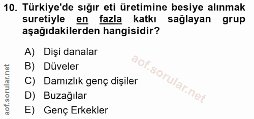 Soru 10