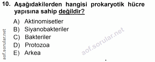 Soru 10