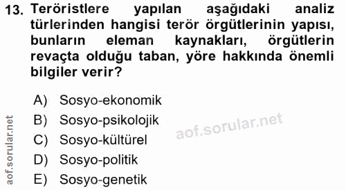 Soru 13