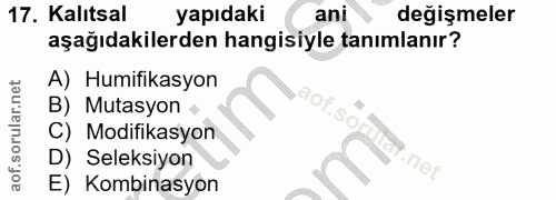 Soru 17