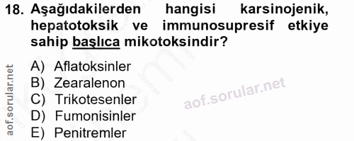 Soru 18