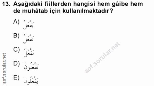 Soru 13
