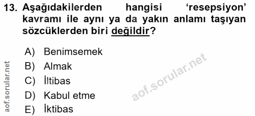 Soru 13