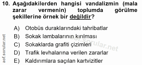 Soru 10