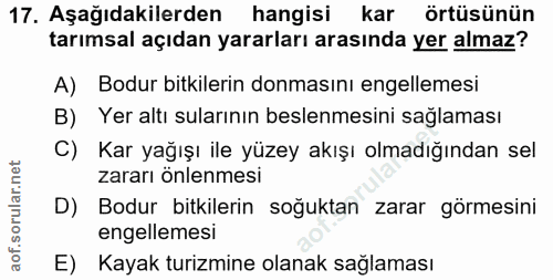 Soru 17
