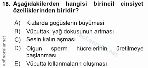 Soru 18