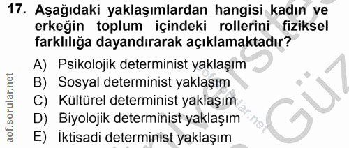Soru 17
