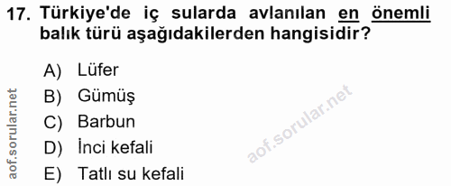 Soru 17