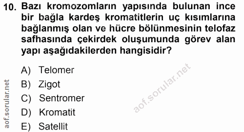 Soru 10