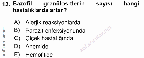 Soru 12