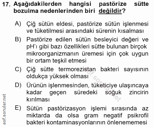 Soru 17