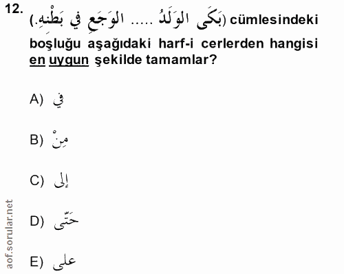 Soru 12