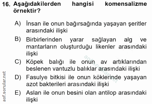Soru 16