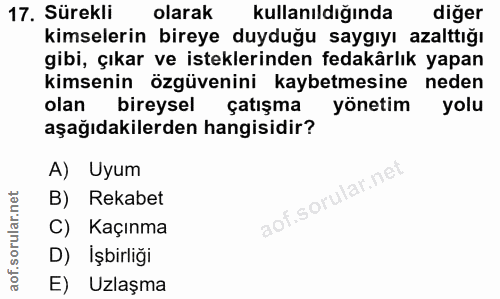 Soru 17