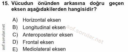 Soru 15