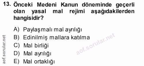 Soru 13