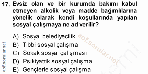 Soru 17