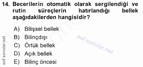 Soru 14