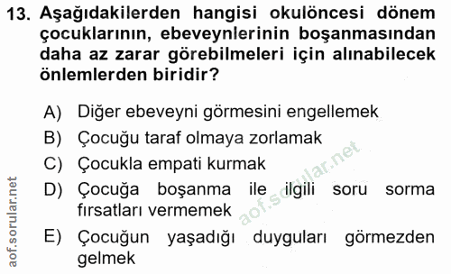 Soru 13
